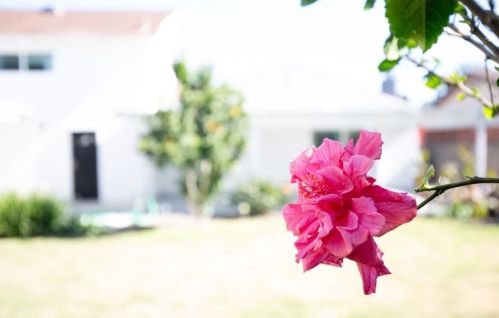 17361 Santa Lucia St, Santa Ana CA  92708-3117 exterior