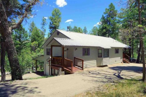 59 Silver Fox Trl, Flying H, NM 88339-9618