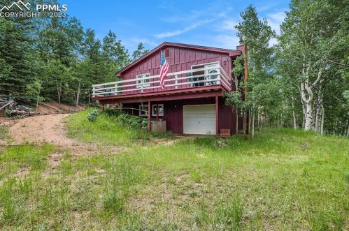 128 No Name Ln, Cripple Creek, CO 80813-9607
