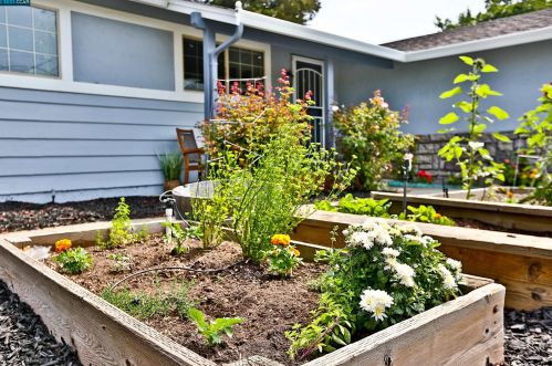 1294 New York Dr, Concord CA  94521-4618 exterior