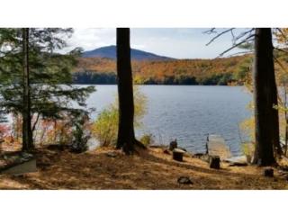 315 Bradley Lake Rd, Andover, NH 03216-3507