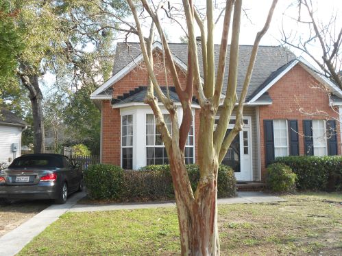 939 Provincial Cir, Mount Pleasant SC  29464-3493 exterior