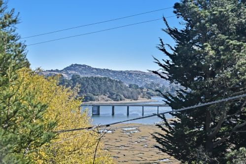258 Greene St, Mill Valley, CA 94941-3516