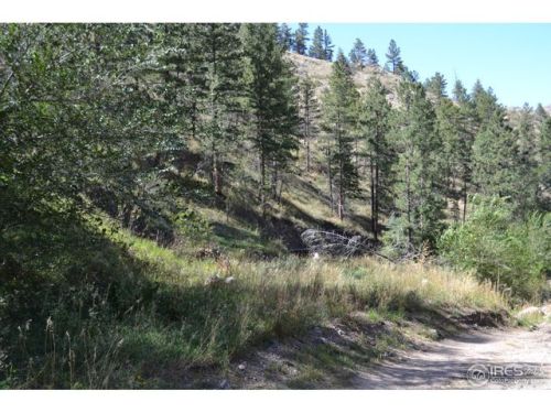 117 Falls Creek Dr, Bellvue, CO 80512-7503