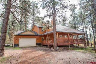 804 Pine Tree Dr, Vallecito, CO 81122-9101