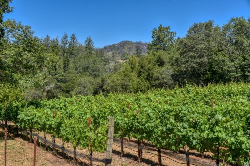 680 Anderson Ln, Angwin, CA 94508-9781