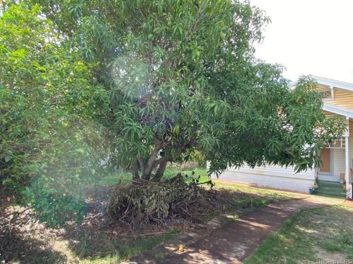 1142 8th Ave, Honolulu HI  96816-2402 exterior