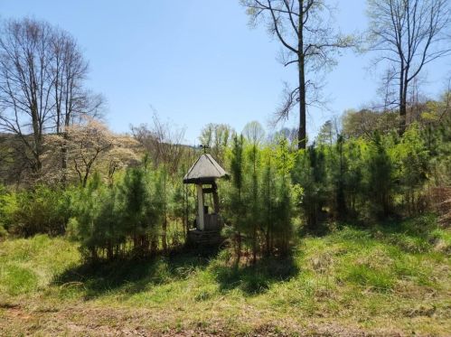 2201 Long Rd, Ball Ground, GA 30107-3811
