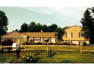 10165 Candlestick Ln, Concord Township, OH 44077-2123