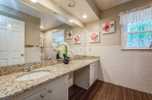 29 Phyllis Pl, Dover NJ  07869-4609 exterior