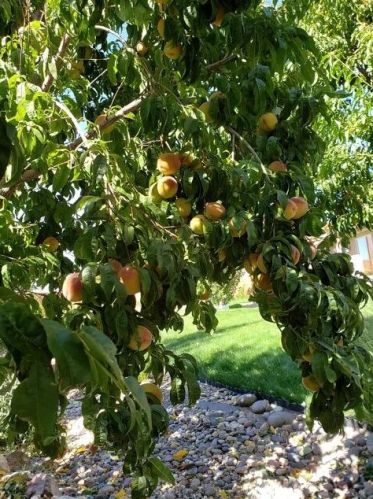 1783 3475, Cedar City UT 84721-8636 exterior