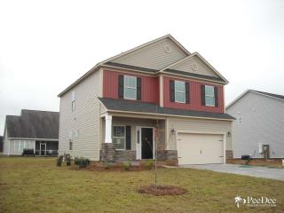 1236 Barn Owl Rd, Effingham, SC 29541-4720