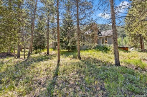 21 Saw Whiskers Cir, Montezuma CO  80435-7903 exterior