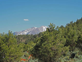 3877 Crystal Bridge Dr, El Jebel, CO 81623-3119