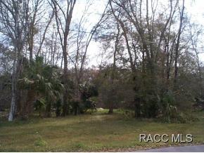 95 Robin Hood Rd, Inverness, FL 34450-2011