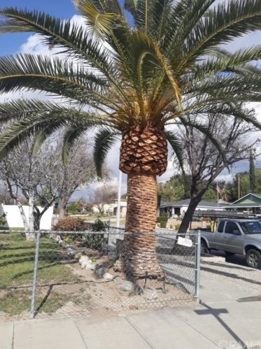 3741 Lofton Pl, Riverside CA  92501-1615 exterior