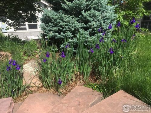 941 8 St, Boulder CO  80302-7103 exterior
