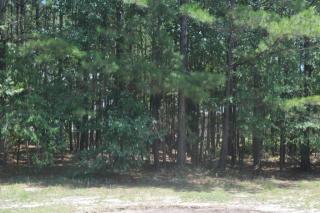 106 Summer Wind Dr, Wateree, SC 29044-9700