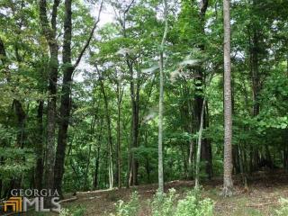 210 Sharp Top Mountain Trl, Big Canoe, GA 30143-0056