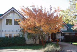 675 Conifer Ln, Auburn, CA 95602-9322