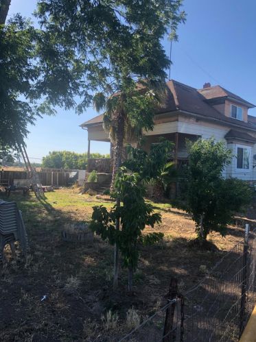 13091 Live Oak Rd, Lodi, CA 95240-9448