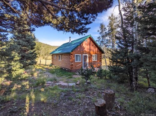 2835 Wendt Ln, Sangre De Cristo Ranches, CO 81133-9550
