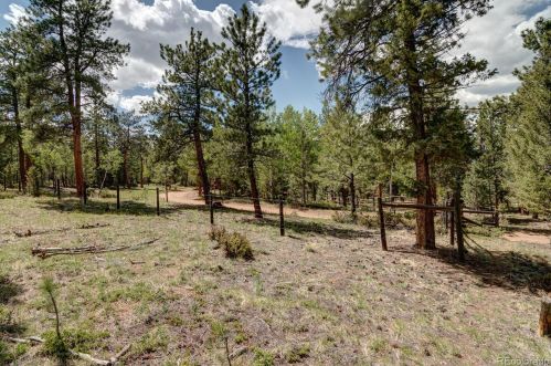 444 Nova Rd, Pine, CO 80470-7945