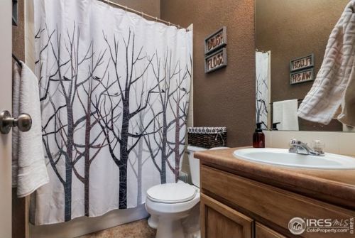 338 Graham Ln, Loveland CO exterior