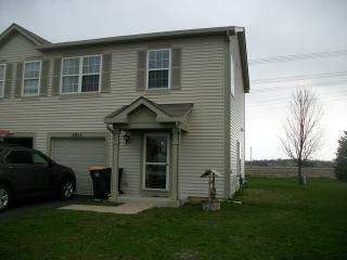 2931 Hoffman St, Little Rock, IL 60545-1991