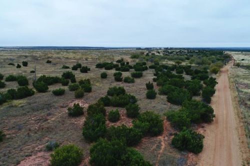 1345 Fm 3295, Quanah, TX 79252-7465