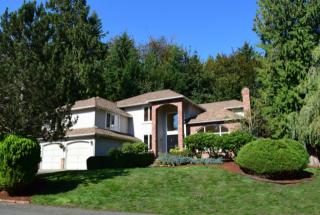 1119 245th Ave, Redmond, WA 98074-7300