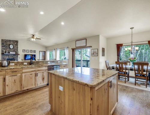 1171 Ptarmigan Dr, Woodland Park CO  80863-8005 exterior