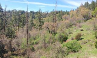 3200 Meyers Rd, Snowline Camp, CA 95709-9550
