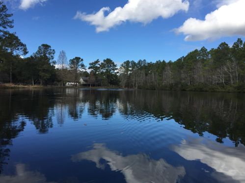 1850 Griffith Ln, Johns Island, SC 29455-8300