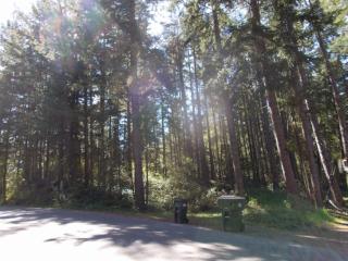 22135 Bluewater Dr, Yelm, WA 98597-8980