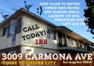 3011 Carmona Ave, Los Angeles CA  90016-3232 exterior