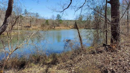 1440 Butler Rd, Franklin, GA 30217-7008