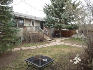 215 10th St, El Jebel, CO 81623-2543