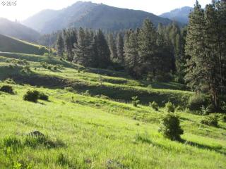 59521 Freezeout Rd, Imnaha, OR 97842-8103
