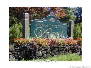 41 Great Meadow Ln, Farmington, CT 06032-8007