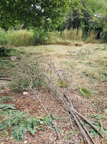 3735 Polk St, Riverside CA  92505-1821 exterior