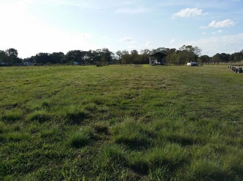 2313 Shanks Rd, Angleton TX  77515-9184 exterior