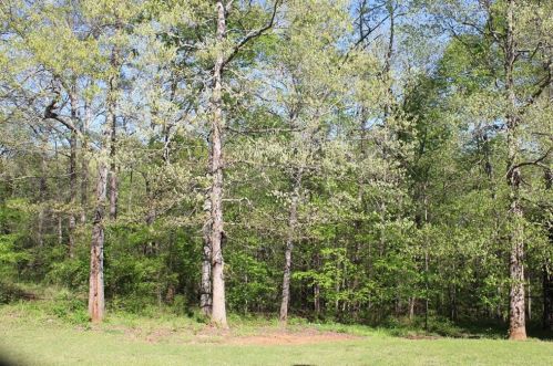 2061 Millstone Dr, Conyers GA  30094-3981 exterior
