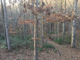 1229 Rabbit Run Rd, Goodview, VA 24095-2855