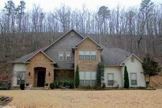 28 Golden Eagle Dr, Paron, AR 72122-8067