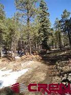 303 Blue Spruce Dr, Vallecito, CO 81122-9732