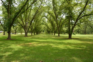 903 Robert Toombs Ave, Washington, GA 30673-2054