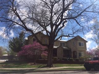 4504 Louisiana Ave, Denver CO  80246-3426 exterior