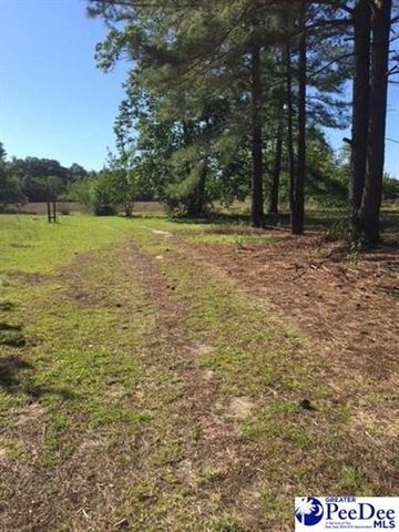 1017 Brentwood Dr, Hartsville, SC 29550-6537
