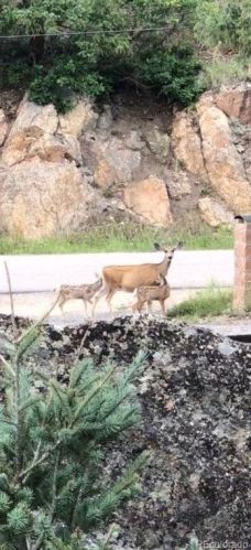 6343 Starlight Dr, Morrison CO  80465-2708 exterior